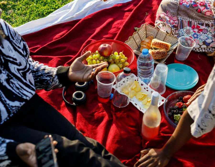 225 Sycamore residents at the delano park having a picnic with red picnic blanket with food and drinks